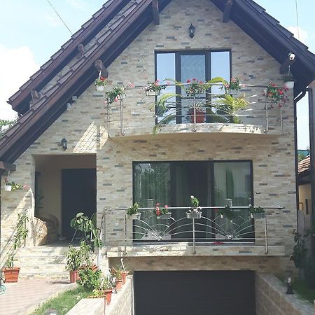 Vila Alexia Hotel Călimăneşti Exterior foto