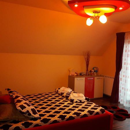 Vila Alexia Hotel Călimăneşti Exterior foto
