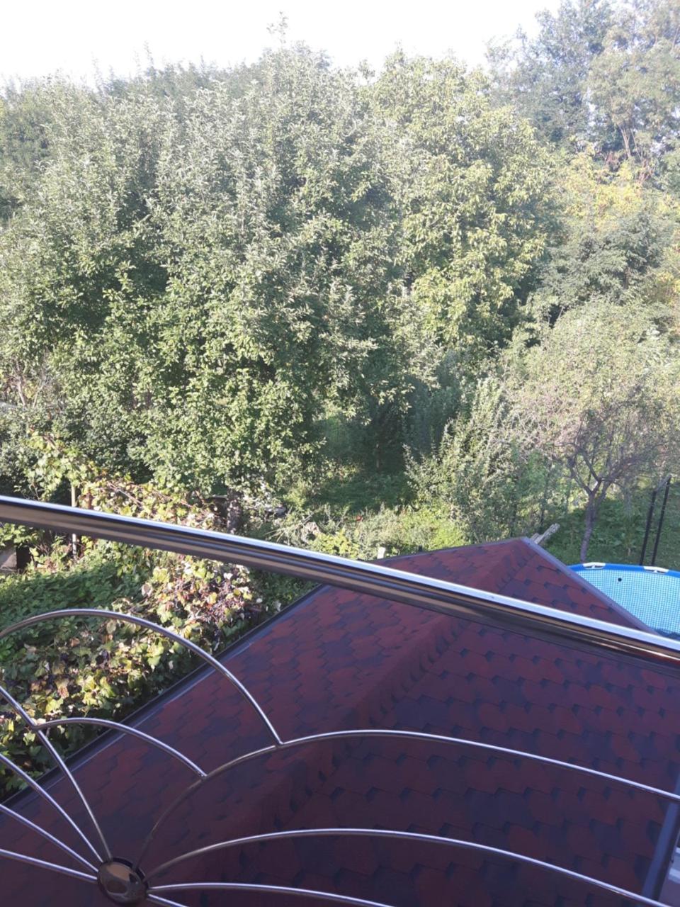 Vila Alexia Hotel Călimăneşti Exterior foto